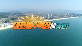 365일 즐거움이 가득한 보령시 대천해수욕장으로 놀러와 보령 - kakaoTV 365일 즐거움이 가득한 보령시 대천해수욕장으로 놀러와 보령