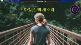 새소리 아침 산책 새 노래 소리 유튜브 무료 음악 효과음 Sound- FX - kakaoTV 새소리 아침 산책 새 노래 소리 유튜브 무료 음악 효과음... 