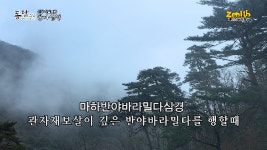 반야심경 (신우리말표준)_동담스님 - kakaoTV 반야심경 (신우리말표준)_동담스님