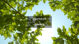 장봉근아로니아 × SUMMER ! 올 여름에도 맛있게 건강하세요! - kakaoTV 장봉근아로니아 × SUMMER ! 올 여름에도 맛있게 건강하세요! 