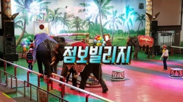 제주도아이랑가볼만한곳 - 점보빌리지 - kakaoTV 제주도아이랑가볼만한곳 - 점보빌리지