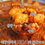 낙지볶음개미집 - kakaoTV 낙지볶음개미집
