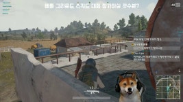 [댕댕수면실] 배틀그라운드 연습 (1080p) #아데드 #수면실 #게임_10 - kakaoTV [댕댕수면실] 배틀그라운드 연습 (1080p) #아데드 #수면실... 