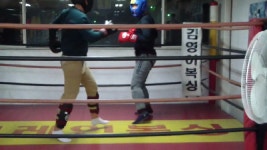 32 - kakaoTV 32