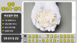 영동장의사 장례지도사 장묘 파묘 영동잔디 중앙장의사 - kakaoTV 영동장의사 장례지도사 장묘 파묘 영동잔디 중앙장의사