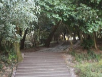 ASMR 죽도봉공원 2 - kakaoTV ASMR 죽도봉공원 2