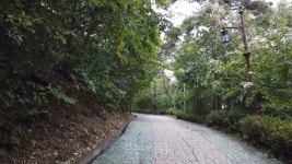 서산 부춘산 트래킹 ㅣ 걷는사람 ㅣ 옥녀봉 ㅣ 봉화산 ㅣ 청설모 - kakaoTV 서산 부춘산 트래킹 ㅣ 걷는사람 ㅣ 옥녀봉 ㅣ 봉화산 ㅣ 청설모