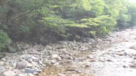 여승은 춤추고 노인은 통곡하다 - kakaoTV 여승은 춤추고 노인은 통곡하다