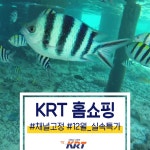 😍 KRT 금주의 홈쇼핑 베캄 & 스페인 & 세부 😍 가 - kakaoTV 지금... 곳들로만 모으고 모았다! 😍 KRT 금주의 홈쇼핑 베캄 & 스페인 & 세부 😍  가