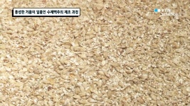 풍성한 거품이 일품인 수제맥주의 제조 과정 - kakaoTV 풍성한 거품이 일품인 수제맥주의 제조 과정