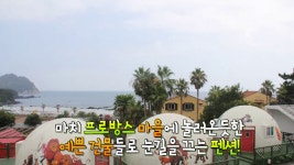 제주도 서귀포펜션 - 라임오렌지빌 - kakaoTV 제주도 서귀포펜션 - 라임오렌지빌