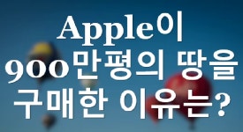 Apple이 900만평의 땅을 구매한 이유는? - kakaoTV Apple이 900만평의 땅을 구매한 이유는?