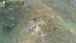 솔미농장펜션에서 업로드한 동영상 - kakaoTV 솔미농장펜션에서 업로드한 동영상