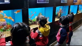 글로리아유치원현장학습 가을소풍 물고기체험 - kakaoTV 글로리아유치원현장학습 가을소풍 물고기체험