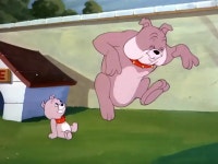 톰과 제리 076 - Thats My Pup! [1953] - kakaoTV 톰과 제리 076 - Thats My Pup! [1953]