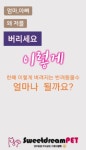 스윗드림펫의 동영상 - kakaoTV 스윗드림펫의 동영상