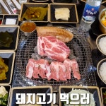 삼삼오식당 - kakaoTV 삼삼오식당