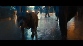 존 윅 - 챕터 3 (John Wick - Chapter 3 - Parabellum, 2019) 예고편 - kakaoTV 존 윅 - 챕터 3 (John Wick - Chapter 3 - Parabellum... 