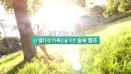 남이섬 숲속 캠프 와글와글숲 - kakaoTV 남이섬 숲속 캠프 와글와글숲