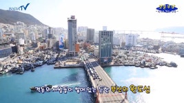 평화의 항구 부산 - kakaoTV 평화의 항구 부산