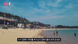 태안 어은돌 해수욕장 오토캠핑장 - kakaoTV 태안 어은돌 해수욕장 오토캠핑장