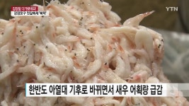 김장철 다가왔네요!..강경포구 젓갈축제로 북적 - kakaoTV 김장철 다가왔네요!..강경포구 젓갈축제로 북적