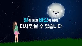 21gram(21그램)의 동영상 - kakaoTV 21gram(21그램)의 동영상