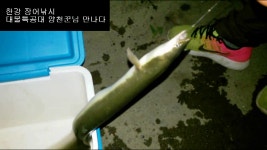 한강 장어낚시 양화 포인트에서 700g 넘는 대물장어 처음 만나다 주인공은 장어특공대 양천꾼님 축하합니다!! - kakaoTV 한강 장어낚시 양화... 
