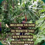 에이스제이엠의 동영상 - kakaoTV 에이스제이엠의 동영상