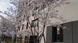 자신과 연애하듯 삶을 살아라 (다산동) - kakaoTV 자신과 연애하듯 삶을 살아라 (다산동)
