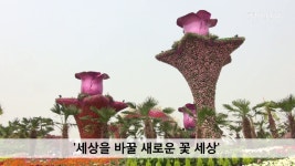 aT화훼사업센터, 일상에 꽃을 더하다 ‘1Table 1Flower’ - kakaoTV [천지TV] aT화훼사업센터, 일상에 꽃을 더하다 ‘1Table 1Flower’