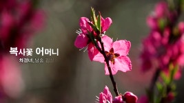 감성시_복사꽃 어머니_차경녀_낭송 김상희 편집 윤기영 - kakaoTV 감성시_복사꽃 어머니_차경녀_낭송 김상희 편집 윤기영