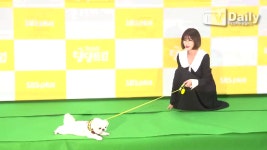 [TD영상] 댕댕트립 문정희-강예원-로버트 할리의 애타는 마음 몰라주는 댕댕이들 포토타임 - kakaoTV [TD영상] 댕댕트립 문정희-강예원... 