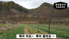 생거진천 동막골오..에서 업로드한 동영상 - kakaoTV 생거진천 동막골오..에서 업로드한 동영상