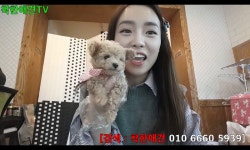 말티푸 분양 정보 [착한애견분양본점] 수원강아지분양... 분양 정보 [착한애견분양본점] 수원강아지분양 , 분당강아지분양, 성남강아지분양