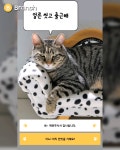 집사의 하루 - kakaoTV 집사의 하루