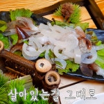 한양대 미스터오징어 - kakaoTV 한양대 미스터오징어