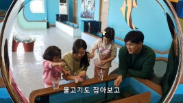 대구가볼만한곳/경남가볼만한곳/거창가볼만한곳/아이와가볼만한곳 - kakaoTV 대구가볼만한곳/경남가볼만한곳/거창가볼만한곳/아이와가볼만한곳