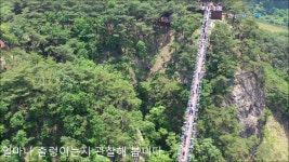 햐...이거봐라! 울렁우렁 출렁출렁^^ 소금산 출렁다리 - kakaoTV 햐...이거봐라! 울렁우렁 출렁출렁^^ 소금산 출렁다리