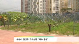 ‘과수 공원’ 가보셨나요? - kakaoTV ‘과수 공원’ 가보셨나요?