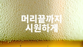 더밸류펍의 동영상 - kakaoTV 더밸류펍의 동영상