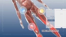 생명의 근원 단백질 왜 중요한지 아시나요? - kakaoTV 생명의 근원 단백질 왜 중요한지 아시나요?