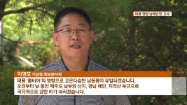 폭염 끝에 폭우? 남해안 국지성 호우, 서쪽은 말복더위 - kakaoTV 폭염 끝에 폭우? 남해안 국지성 호우, 서쪽은 말복더위