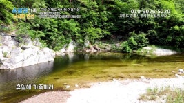 230_강릉낚시터_소금강낚시터_강릉낚시터펜션_강릉가볼만한곳_소금강가족낚시터펜션 - kakaoTV 230_강릉낚시터_소금강낚시터_강릉낚시터펜션... 