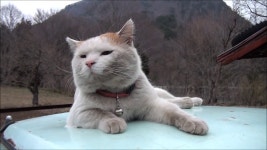 흙놀이 너무 좋아~ - kakaoTV 흙놀이 너무 좋아~