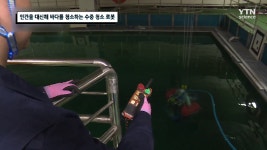 인간을 대신해 바다를 청소하는 수중 청소 로봇 - kakaoTV 인간을 대신해 바다를 청소하는 수중 청소 로봇