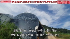3만,매매 6,000만-내포박사(73983) - kakaoTV 토지급매-산밑조망최고... 토지 매매-토지529평,평당11.3만,매매 6,000만-내포박사(73983) 