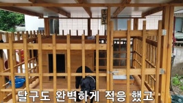 시즌2 달구와 귀농 최첨단 달구집 최초공개합니다 래브라도리트리버달구 - kakaoTV 시즌2 달구와 귀농 최첨단  달구집 최초공개합니다... 