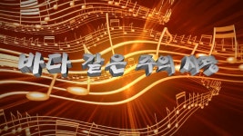 씨뿌리는 사람들 - 바다 같은 주의 사랑 - kakaoTV 씨뿌리는 사람들  - 바다 같은 주의 사랑