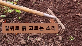 [효과음/저작권없는] 갈퀴로 흙 고르는 소리 - kakaoTV [효과음/저작권없는] 갈퀴로 흙 고르는 소리 